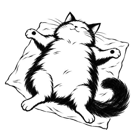 El gato Dao: dibujo de la carta DAO-029