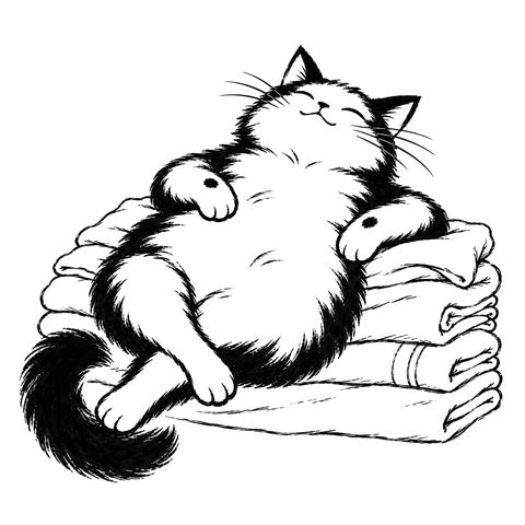 Kater Dao – Zeichnung zur Karte DAO-040