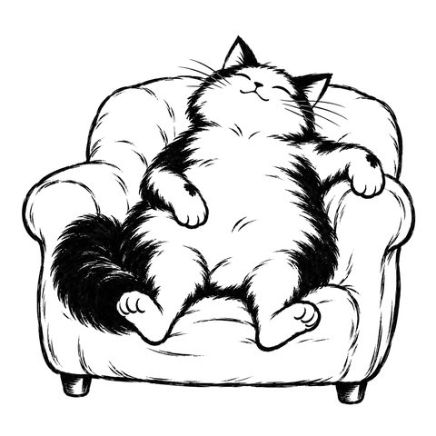 Il gatto Dao – disegno per la carta DAO-065