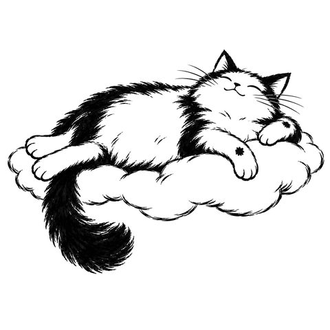 Il gatto Dao – disegno per la carta DAO-070